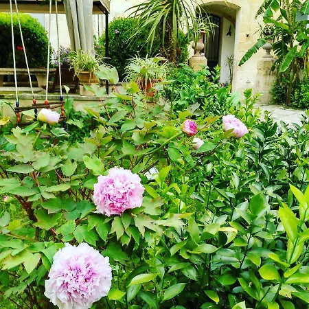 L'orangerie D'epoque Bed and Breakfast Λέτσε